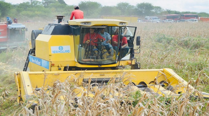 Guárico se posiciona como productor líder de cereales en Venezuela